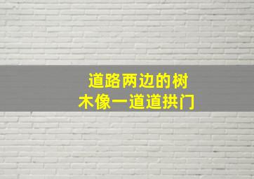 道路两边的树木像一道道拱门