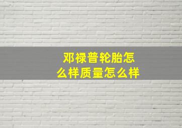 邓禄普轮胎怎么样质量怎么样