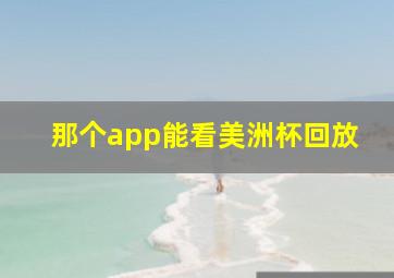 那个app能看美洲杯回放