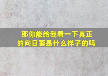 那你能给我看一下真正的向日葵是什么样子的吗