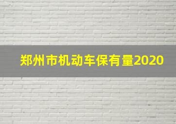 郑州市机动车保有量2020