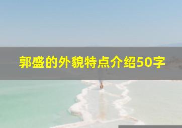 郭盛的外貌特点介绍50字