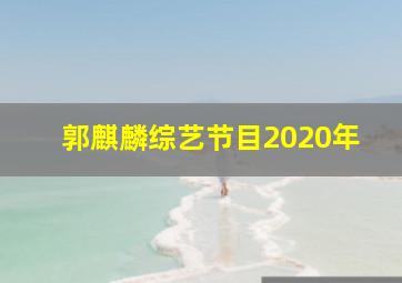 郭麒麟综艺节目2020年