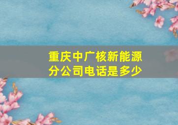 重庆中广核新能源分公司电话是多少