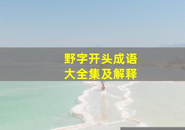 野字开头成语大全集及解释