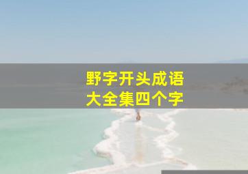 野字开头成语大全集四个字