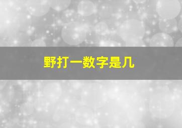 野打一数字是几