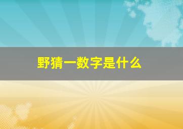 野猜一数字是什么