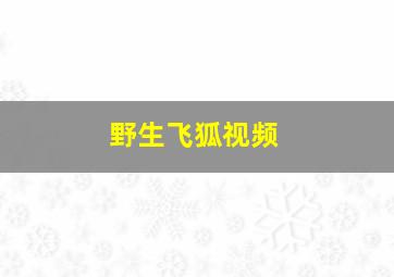 野生飞狐视频