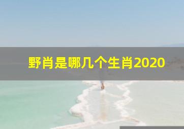 野肖是哪几个生肖2020