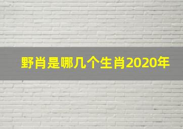 野肖是哪几个生肖2020年