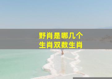 野肖是哪几个生肖双数生肖