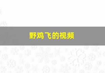 野鸡飞的视频