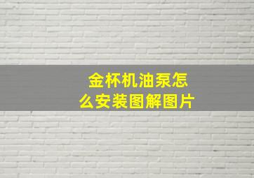 金杯机油泵怎么安装图解图片