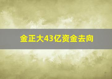 金正大43亿资金去向