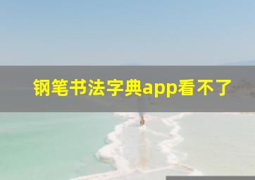 钢笔书法字典app看不了