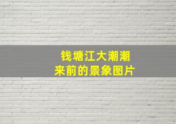 钱塘江大潮潮来前的景象图片