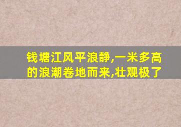 钱塘江风平浪静,一米多高的浪潮卷地而来,壮观极了