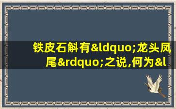 铁皮石斛有“龙头凤尾”之说,何为“龙头凤尾”