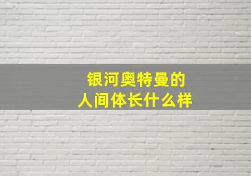 银河奥特曼的人间体长什么样