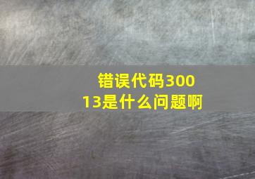 错误代码30013是什么问题啊