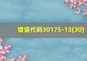 错误代码30175-13(30)