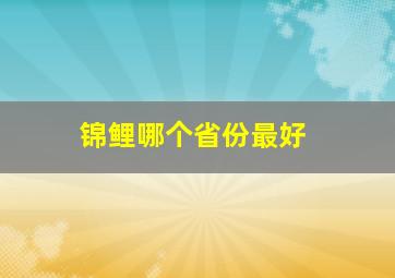 锦鲤哪个省份最好