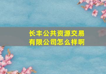 长丰公共资源交易有限公司怎么样啊