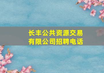 长丰公共资源交易有限公司招聘电话