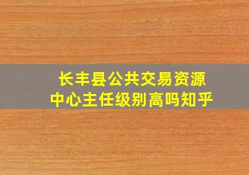 长丰县公共交易资源中心主任级别高吗知乎