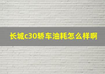 长城c30轿车油耗怎么样啊