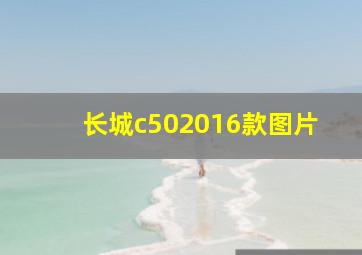 长城c502016款图片