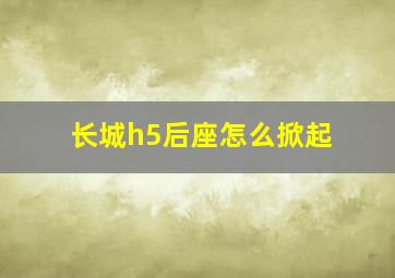 长城h5后座怎么掀起