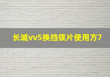 长城vv5换挡拨片使用方7