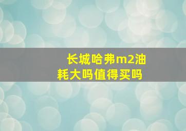 长城哈弗m2油耗大吗值得买吗