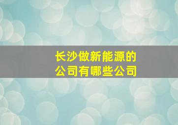 长沙做新能源的公司有哪些公司