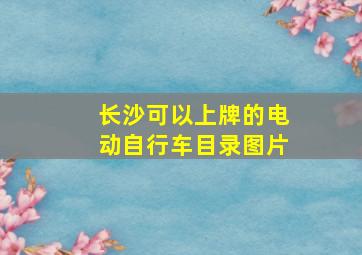 长沙可以上牌的电动自行车目录图片