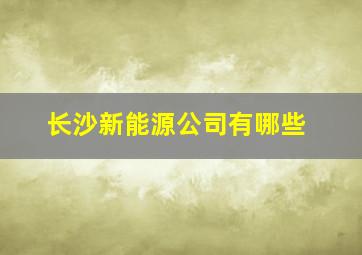 长沙新能源公司有哪些