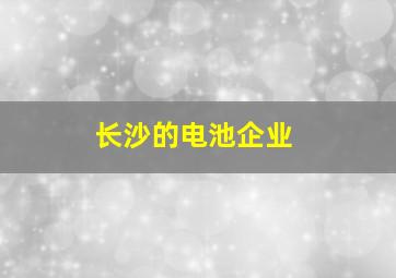 长沙的电池企业