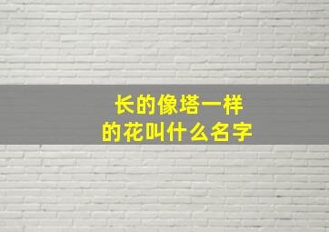 长的像塔一样的花叫什么名字