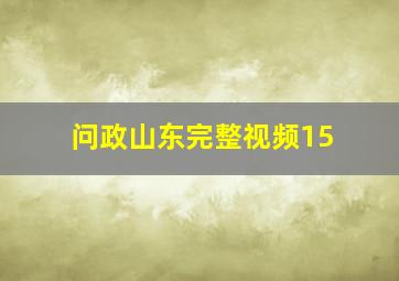 问政山东完整视频15