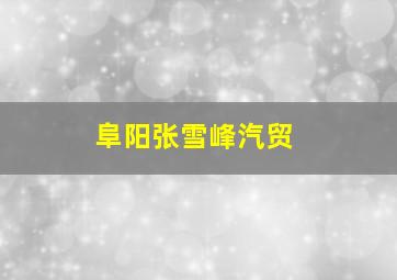 阜阳张雪峰汽贸