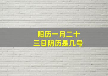 阳历一月二十三日阴历是几号