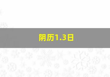 阴历1.3日