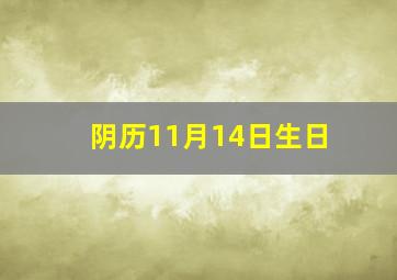 阴历11月14日生日