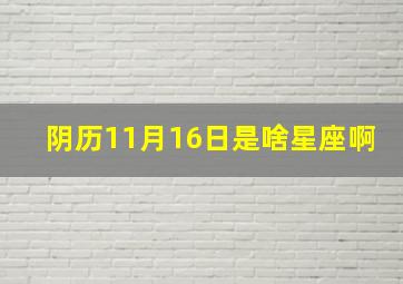 阴历11月16日是啥星座啊