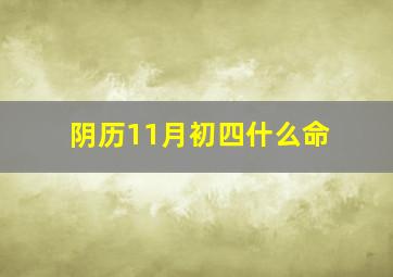 阴历11月初四什么命