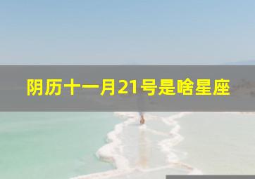 阴历十一月21号是啥星座