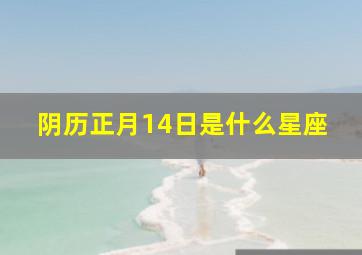 阴历正月14日是什么星座