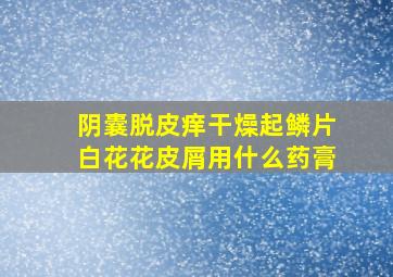 阴囊脱皮痒干燥起鳞片白花花皮屑用什么药膏